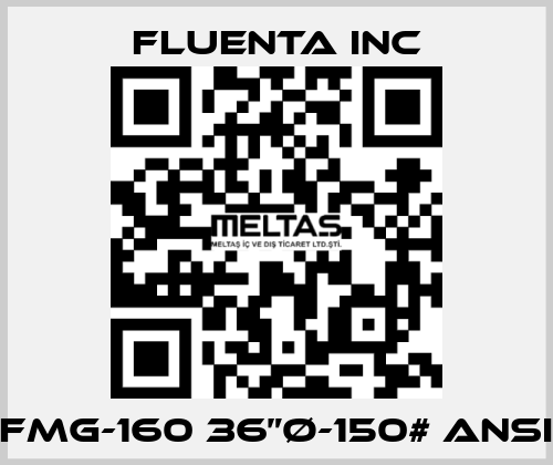 FMG-160 36”Ø-150# ANSI Fluenta Inc