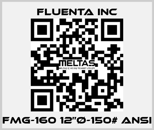 FMG-160 12”Ø-150# ANSI Fluenta Inc