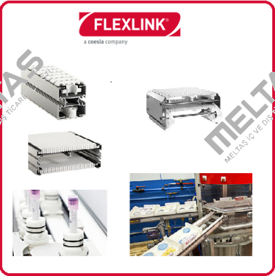 5053981 FlexLink