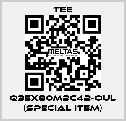 Q3EX80M2C42-OUL (special item) TEE