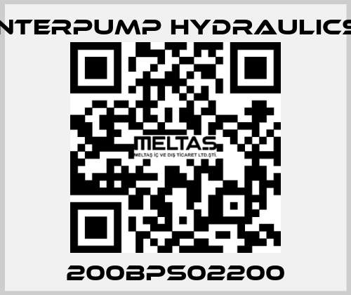 200BPS02200 Interpump hydraulics