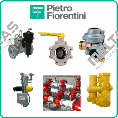 G250 DN80 rotary type Pietro Fiorentini