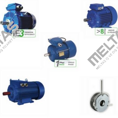 DS-Motor 2SIEK 80 X-2C Cantoni