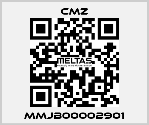 MMJB00002901 CMZ