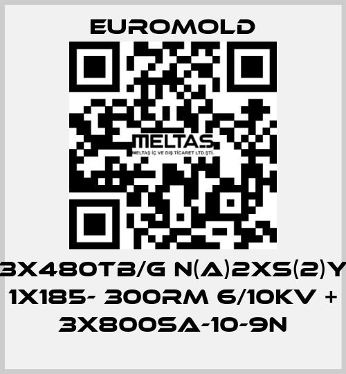 3x480TB/G N(A)2XS(2)Y 1X185- 300RM 6/10KV + 3x800SA-10-9N EUROMOLD