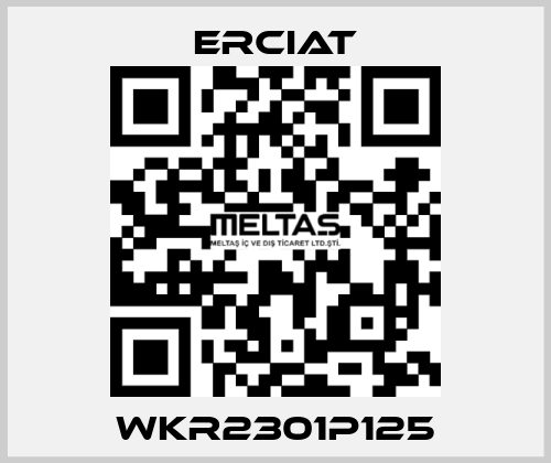 WKR2301P125 ERCIAT