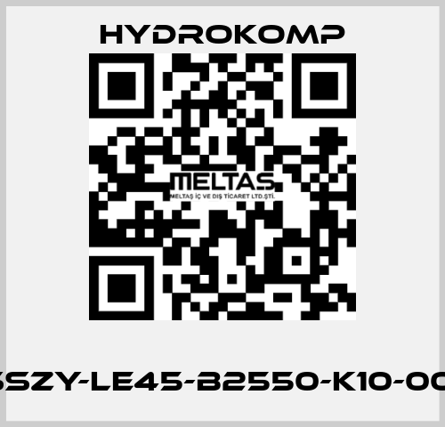       SSZY-LE45-B2550-K10-001 HYDROKOMP