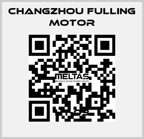 HT-03 Changzhou Fulling Motor