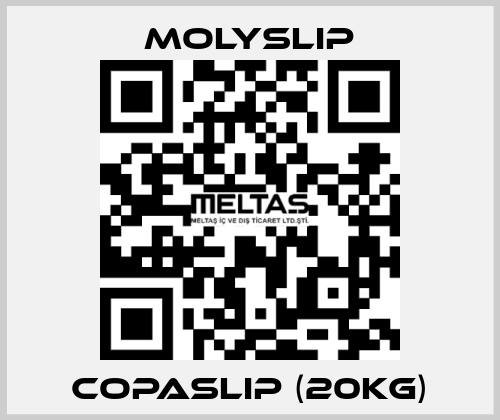 Copaslip (20kg) Molyslip