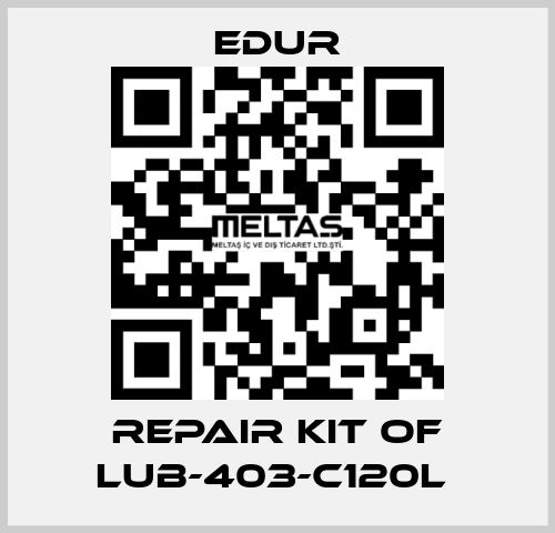 REPAIR KIT OF LUB-403-C120L  Edur