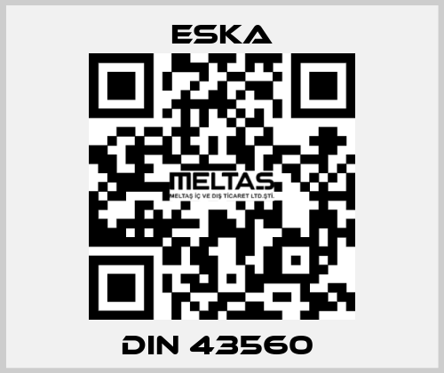 DIN 43560  Eska