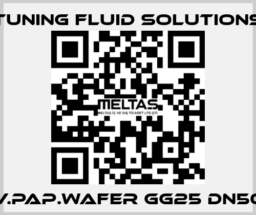 V.PAP.WAFER GG25 DN50 Tuning Fluid Solutions