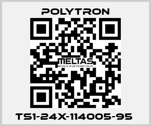 TS1-24X-114005-95  Polytron