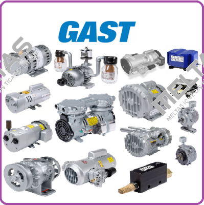 R3105-12 Gast