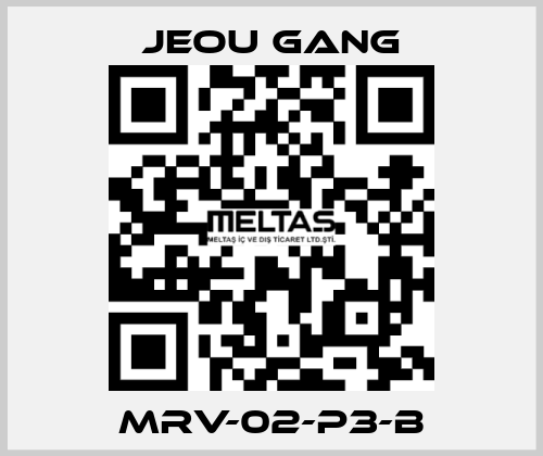 MRV-02-P3-B Jeou Gang