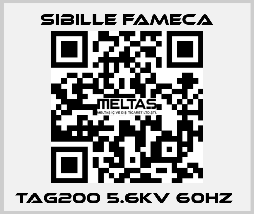 TAG200 5.6KV 60HZ  Sibille Fameca