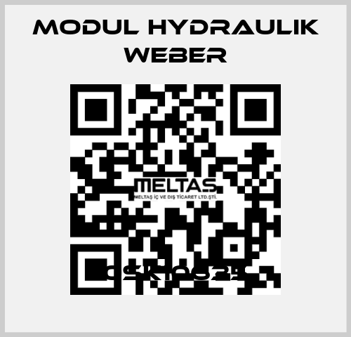 0SK10635 MODUL HYDRAULIK WEBER