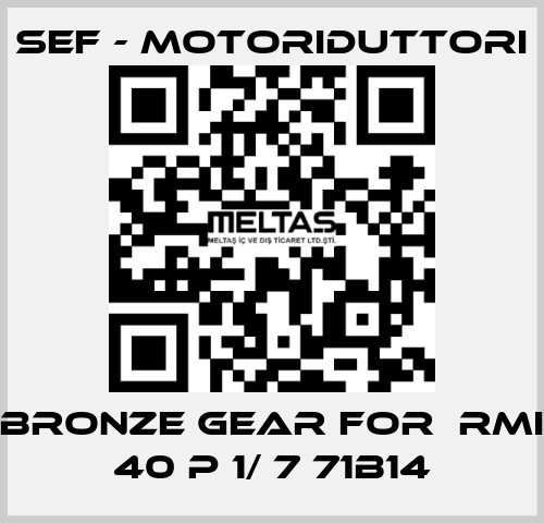 bronze gear for  RMI 40 P 1/ 7 71B14 SEF - MOTORIDUTTORI