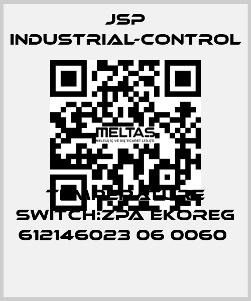 TEMPERATURE SWITCH:ZPA EKOREG 612146023 06 0060  JSP Industrial-Control