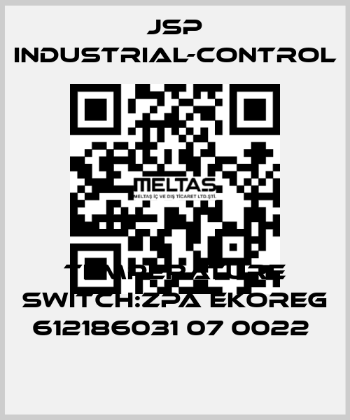 TEMPERATURE SWITCH:ZPA EKOREG 612186031 07 0022  JSP Industrial-Control