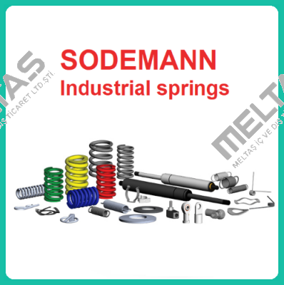 C02100180750S Sodemann