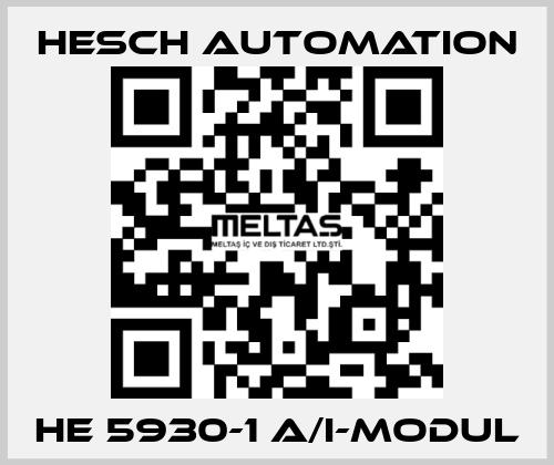 HE 5930-1 A/I-Modul Hesch Automation