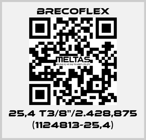 25,4 T3/8"/2.428,875 (1124813-25,4) Brecoflex