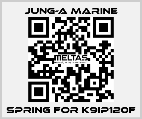 spring for K9IP120F JUNG-A MARINE