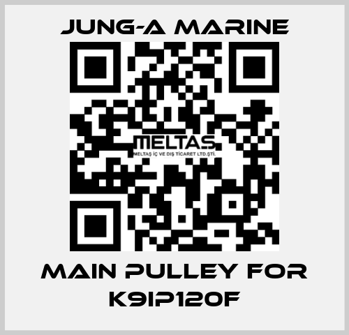 main pulley for K9IP120F JUNG-A MARINE