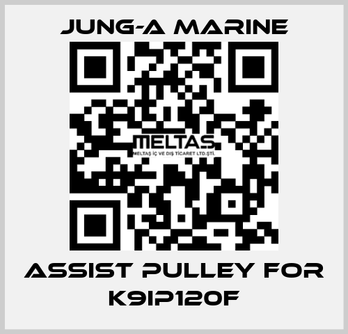 assist pulley for K9IP120F JUNG-A MARINE