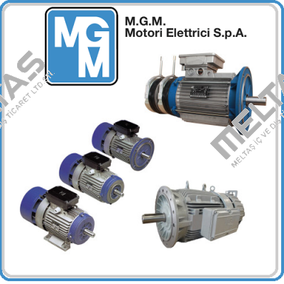 Three-phase red brake coil for MGM motor BA series size 100 M.G.M MOTORI