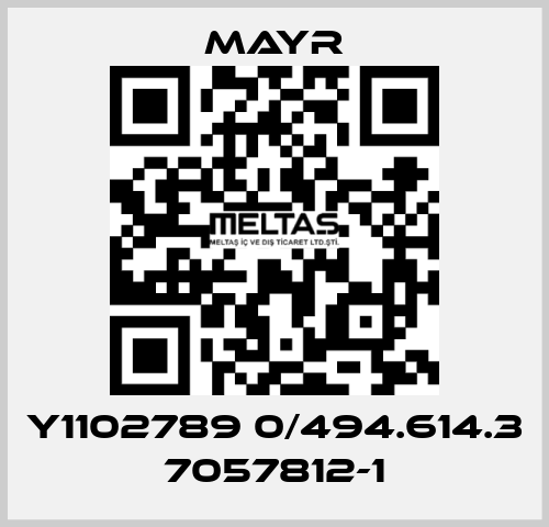 Y1102789 0/494.614.3 7057812-1 Mayr