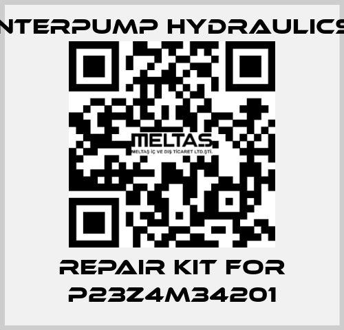 Repair kit for P23Z4M34201 Interpump hydraulics