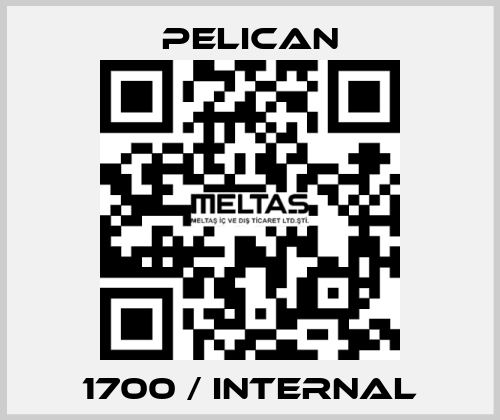 1700 / Internal Pelican