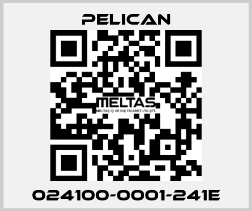 024100-0001-241E Pelican