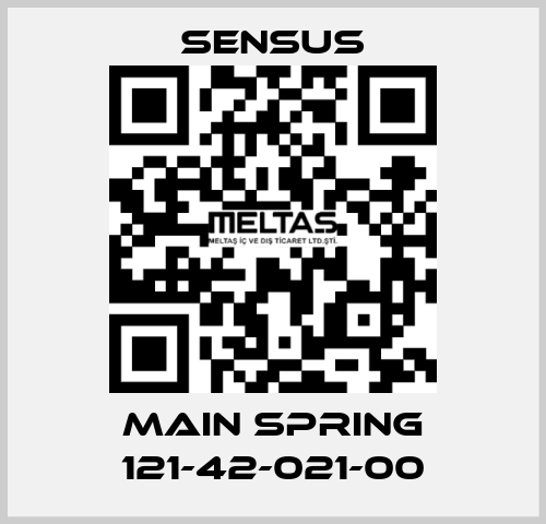 Main spring 121-42-021-00 Sensus