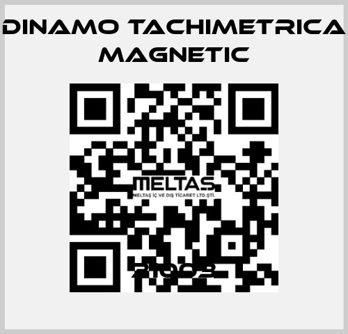 31003 Dinamo Tachimetrica Magnetic