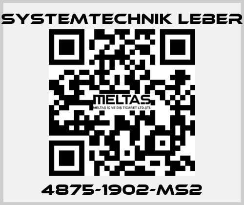 4875-1902-MS2 Systemtechnik LEBER