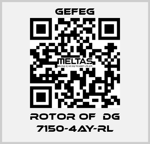 rotor of  Dg 7150-4AY-RL Gefeg