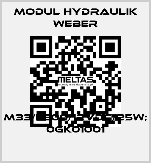 M33/L300/12VDC/25W; 0GK01001 MODUL HYDRAULIK WEBER