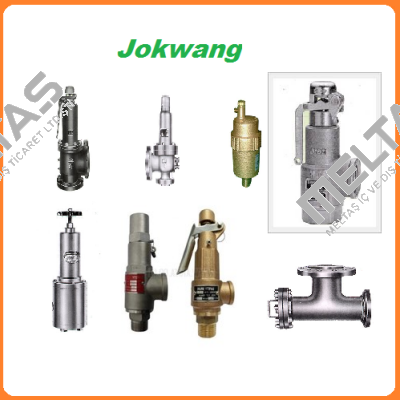 bearing cover for valve  JSV-FF100 Jokwang