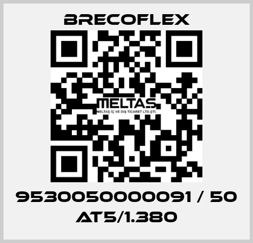 9530050000091 / 50 AT5/1.380 Brecoflex