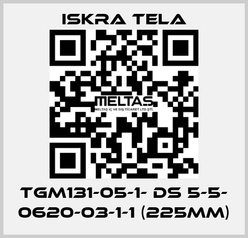 TGM131-05-1- DS 5-5- 0620-03-1-1 (225mm) ISKRA TELA