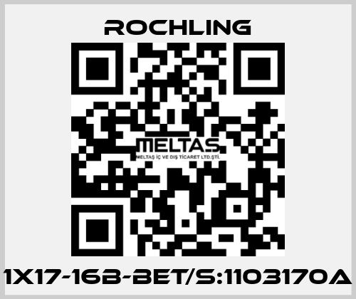 1X17-16B-BET/S:1103170A ROCHLING