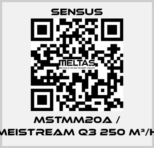 MSTMM20A / MeiStream Q3 250 m³/h Sensus