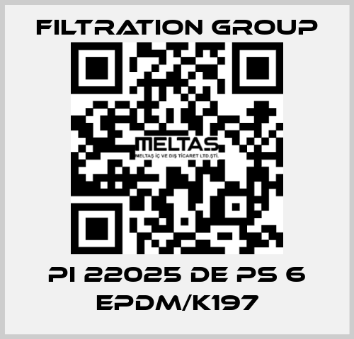 PI 22025 DE PS 6 EPDM/K197 Filtration Group