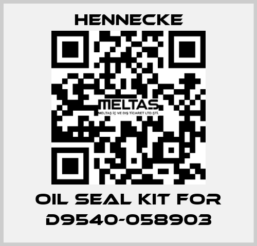 oil seal kit for D9540-058903 Hennecke