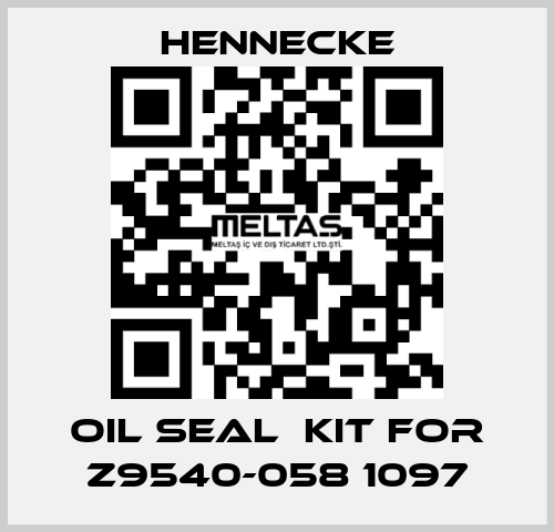 oil seal  kit for Z9540-058 1097 Hennecke