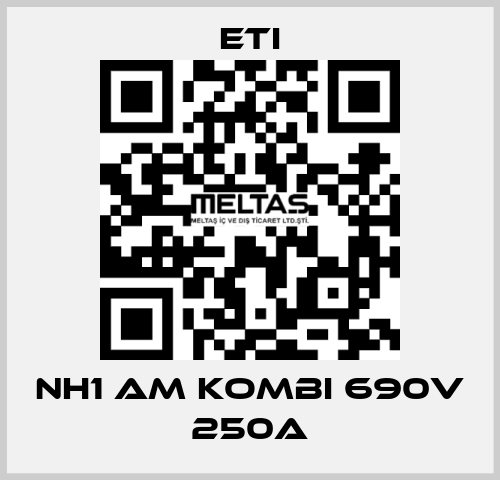 NH1 aM KOMBI 690V 250A Eti