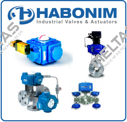 Repair-Kit for COMPACT Actuator C30 SR-2C LT, Habonim